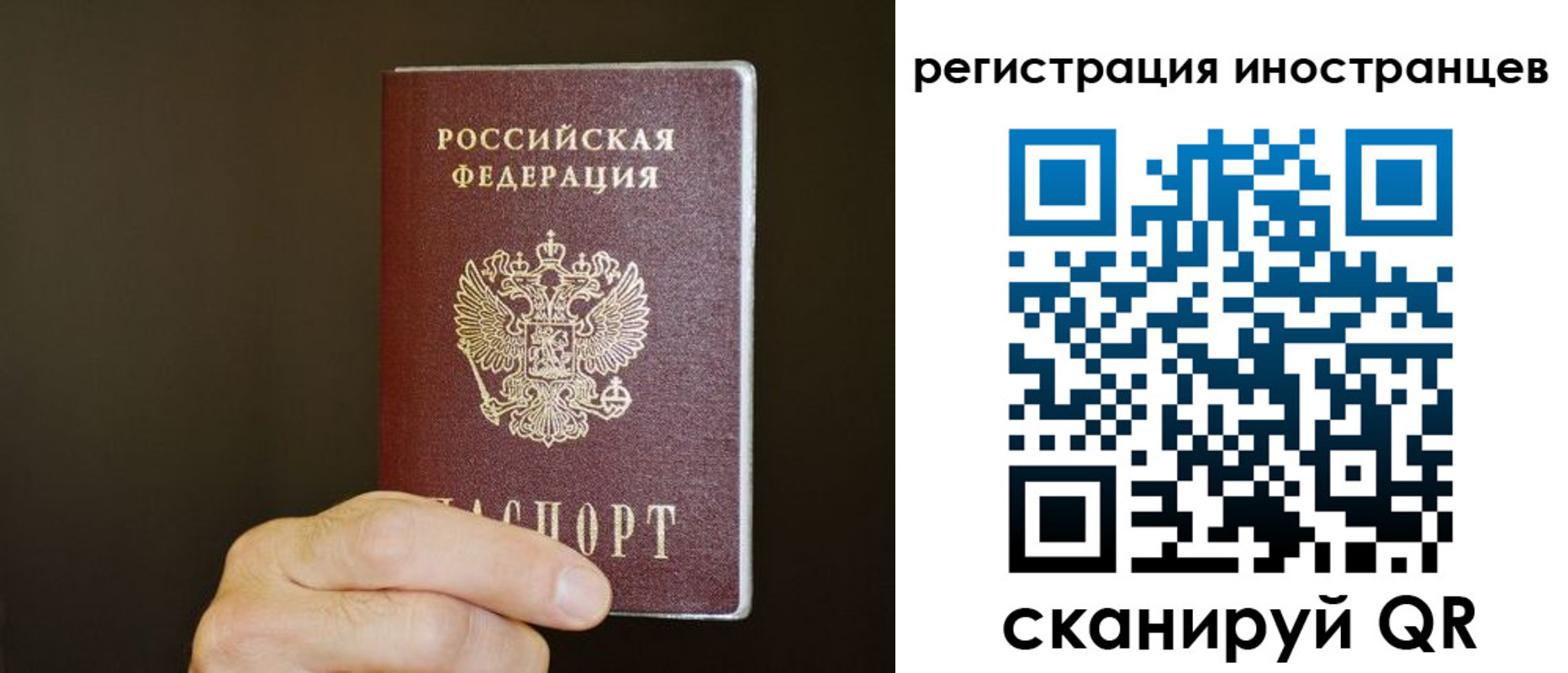 прописка в Петухово